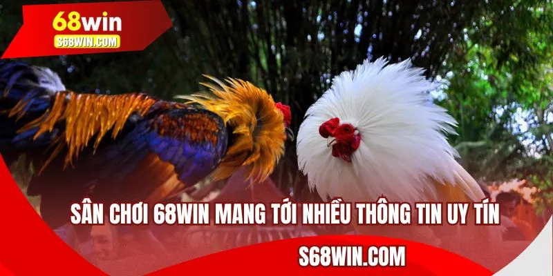 Sân chơi 68WIN mang tới nhiều thông tin uy tín